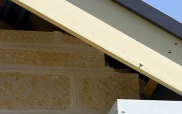 soffit repair Puckrup